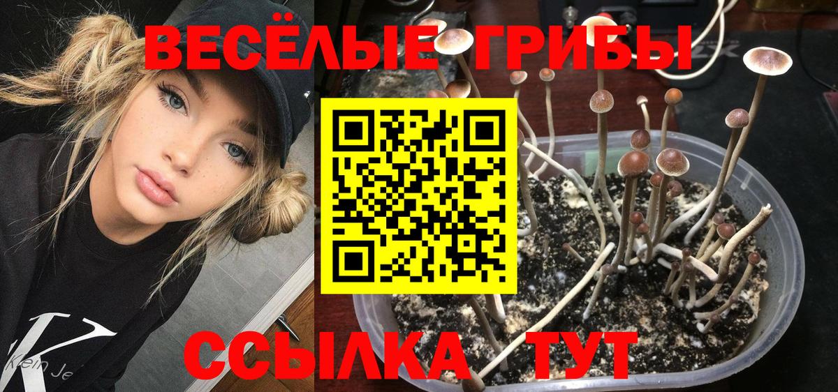 Люберцы  Галлюциногенные грибы ЛСД  Вход с VPN  Галлюциногенные грибы Psilocybine cubensis 