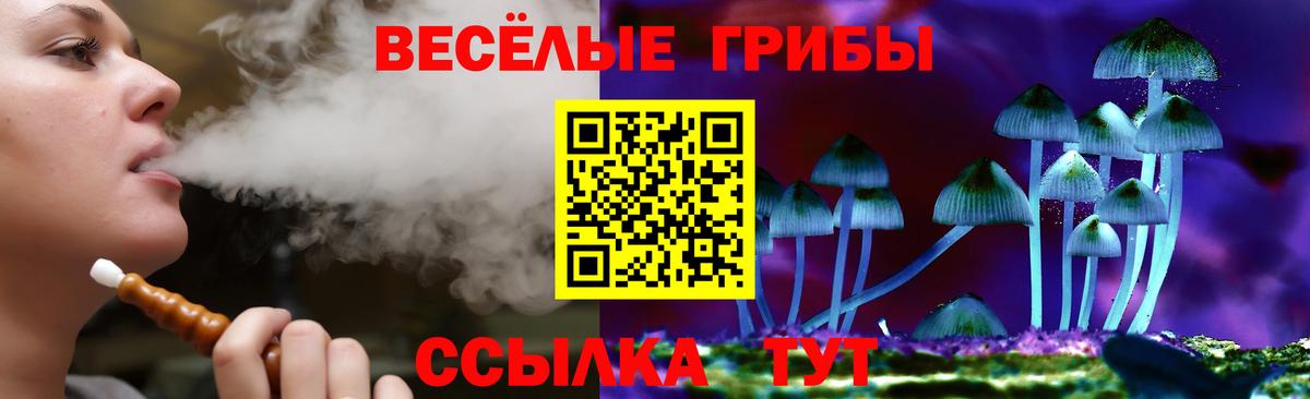 Псилоцибиновые грибы прущие грибы Люберцы